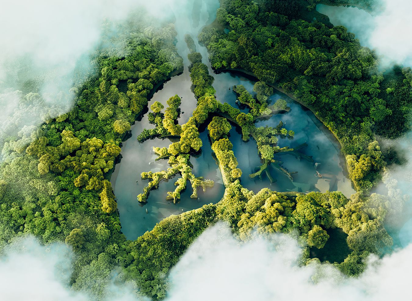 CGI image of trees and water made to look like a pair of lungs