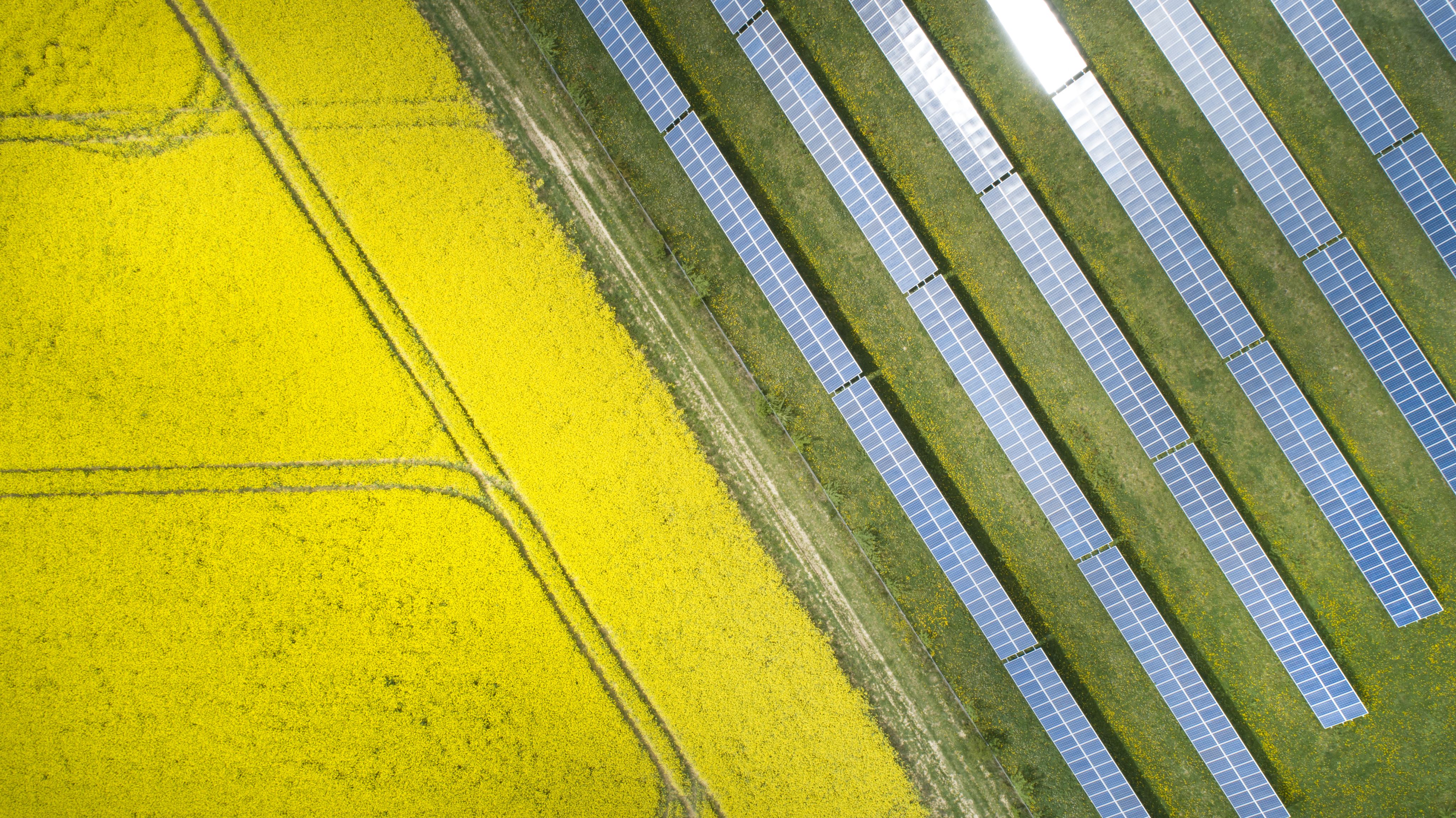 Image of fields with solar panels