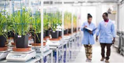 The state-of-the-art laboratories at IBERS