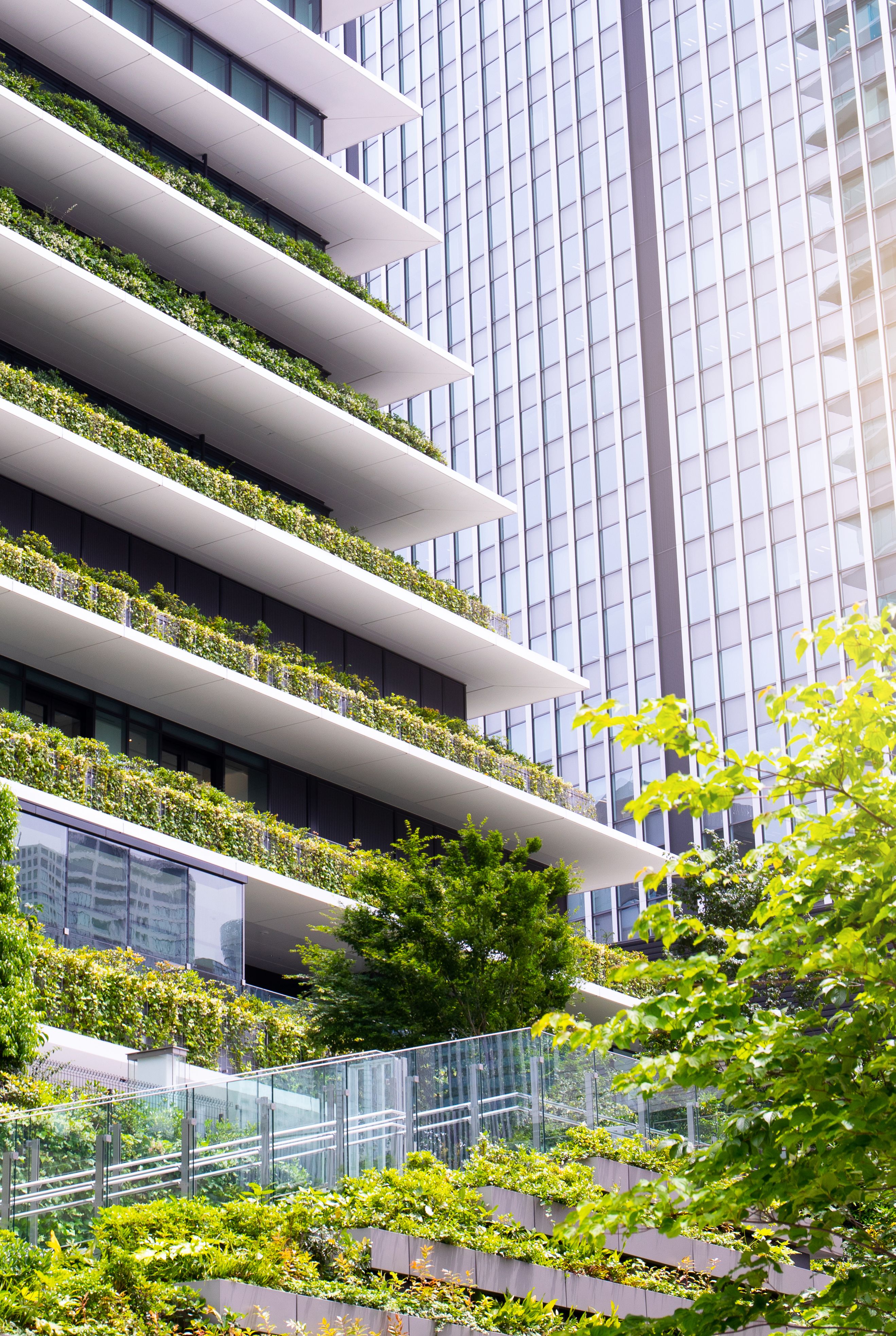 Building with lots of plants grown over it