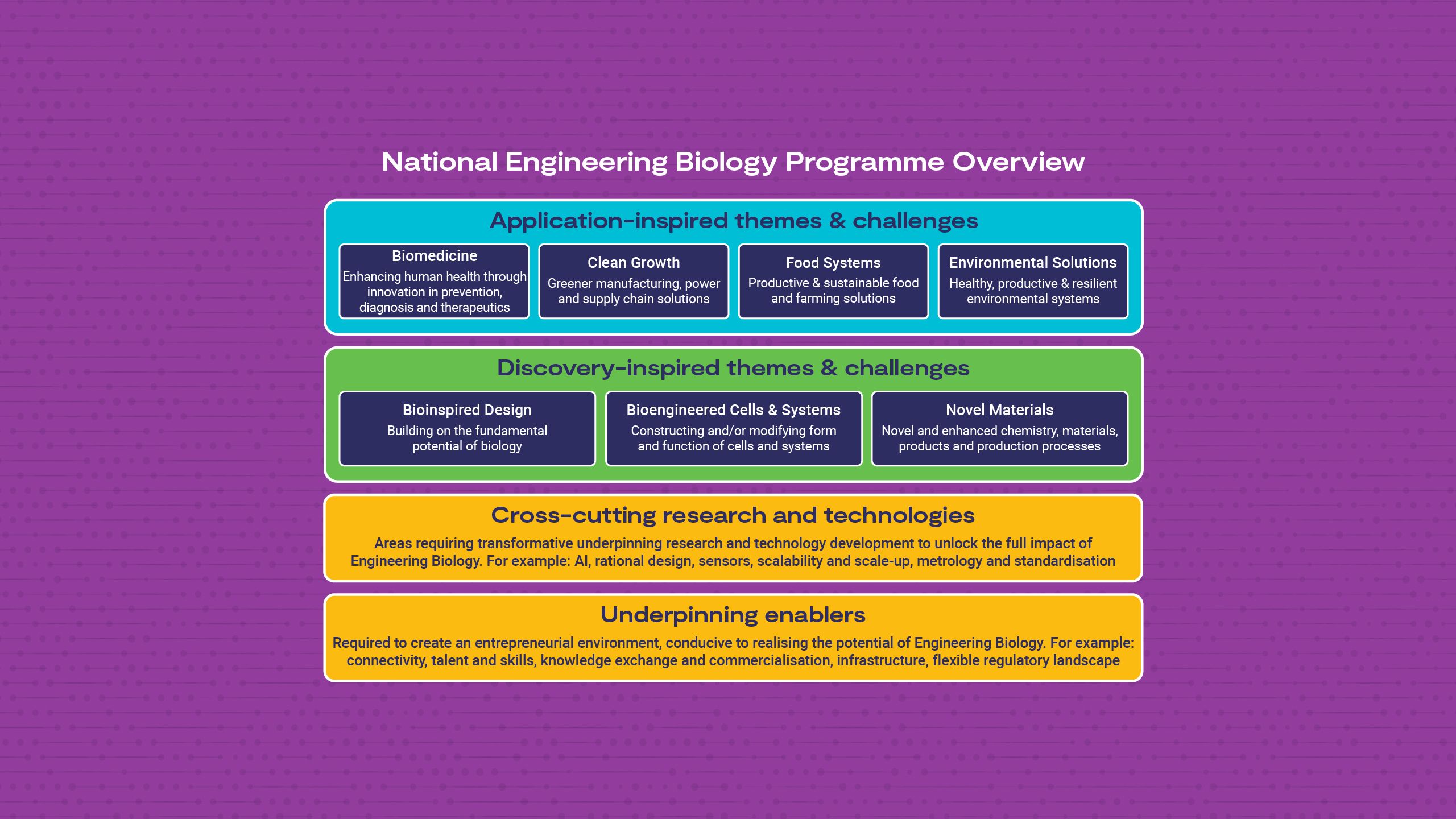 An overview of the themes and challenges, cross-cutting research and technologies, and underpinning enablers within the National Engineering Biology Programme.