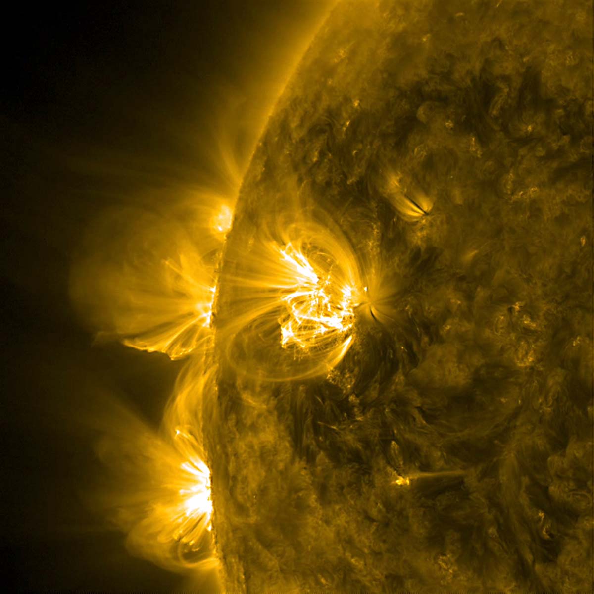 Image of Magnetic loops on the Sun.