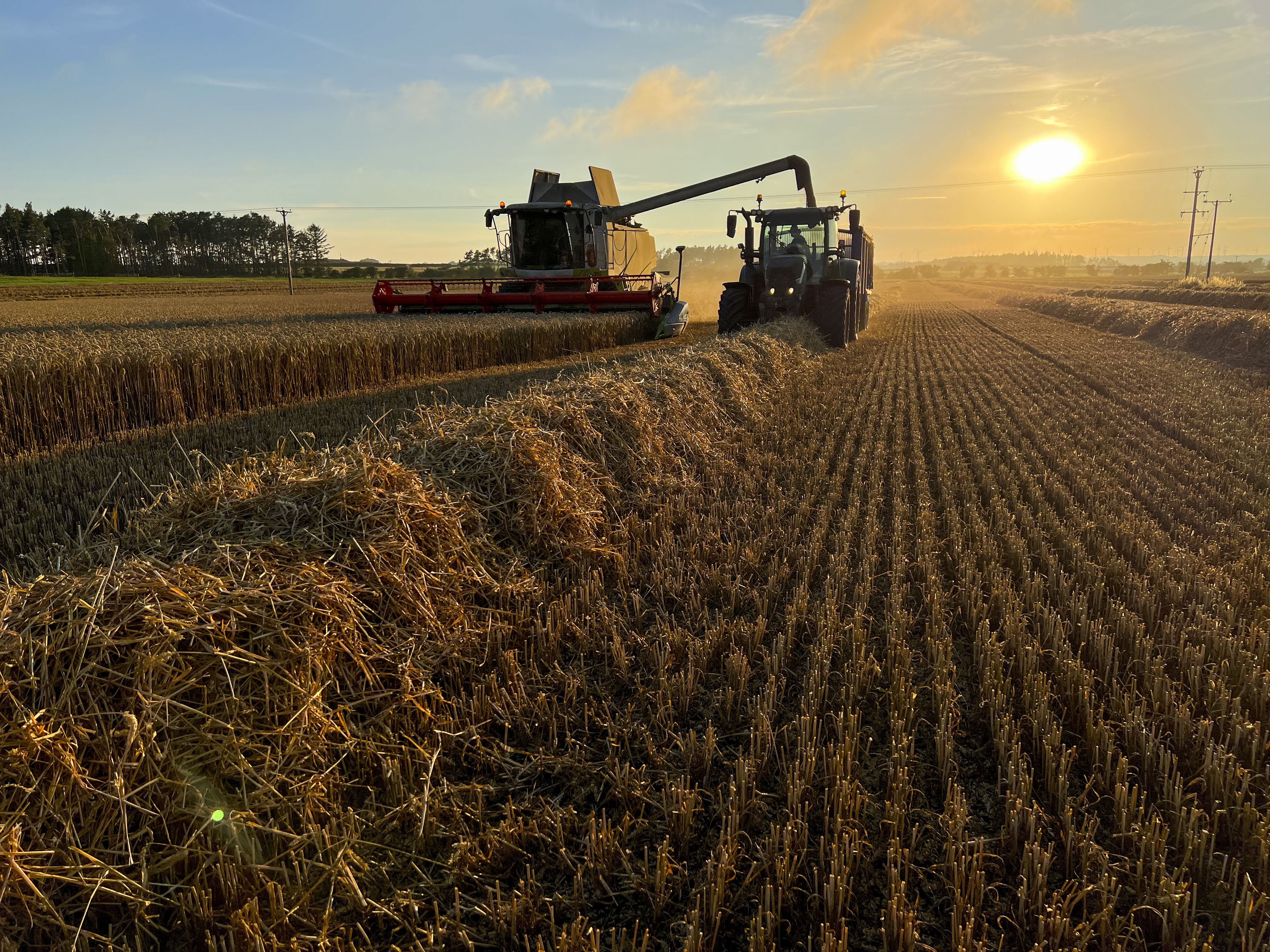 20:20 Wheat: a harvesting tractor farms wheat