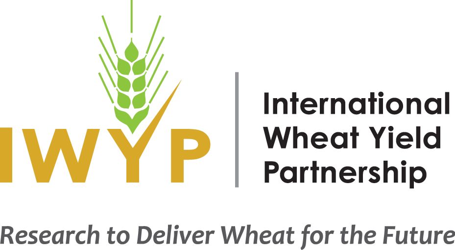 International Wheat Yield Partnership (IWYP): the IWYP logo