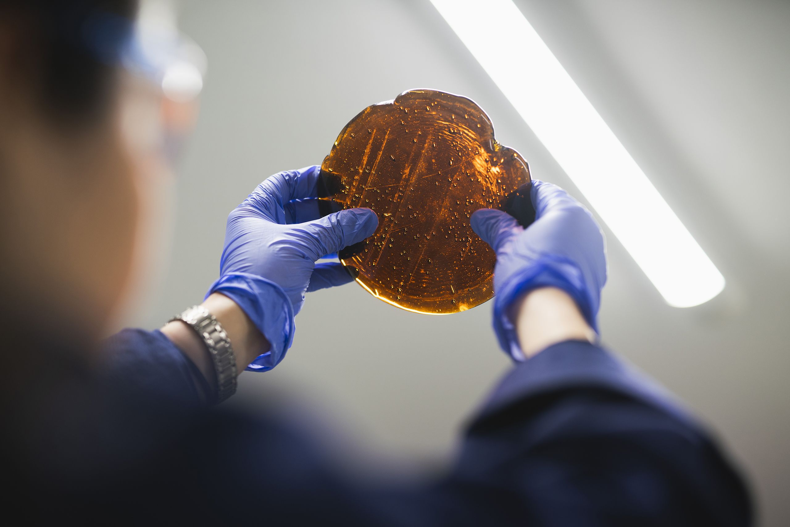 Researcher holding up a sample of glass to the light wearing nitrile gloves