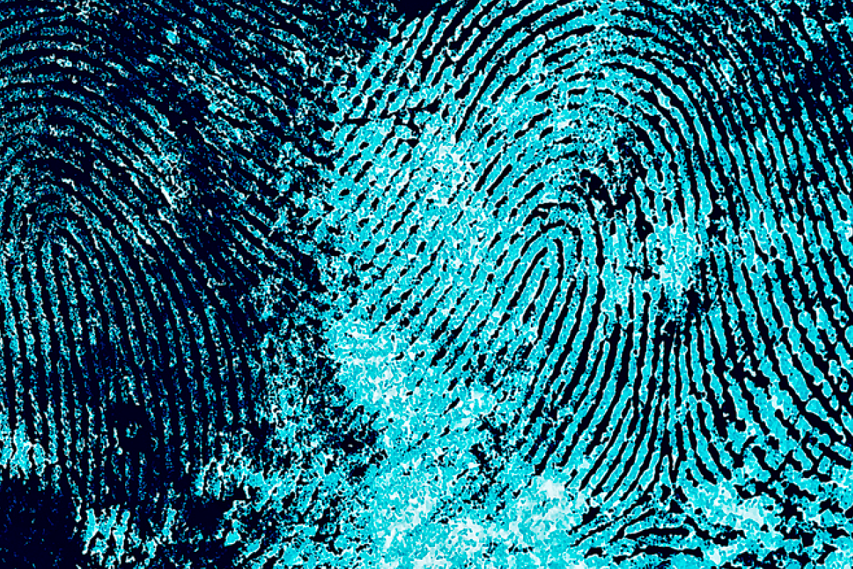 Fluorescent image of two overlapping blue fingerprints 