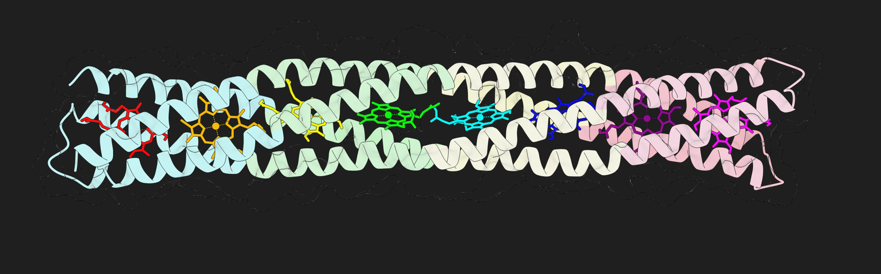 Protein structure of novel electrical component 