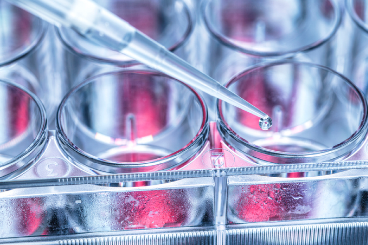 Pipette distributing liquid into a multi-well plate