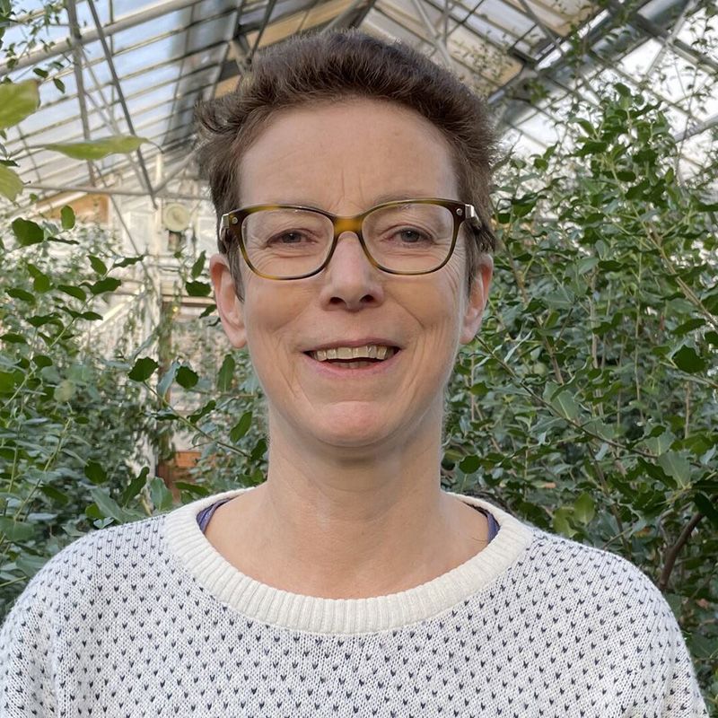 Professor Anne Osbourn, group leader at the John Innes Centre, in a large greenhouse, smiling directly at the camera