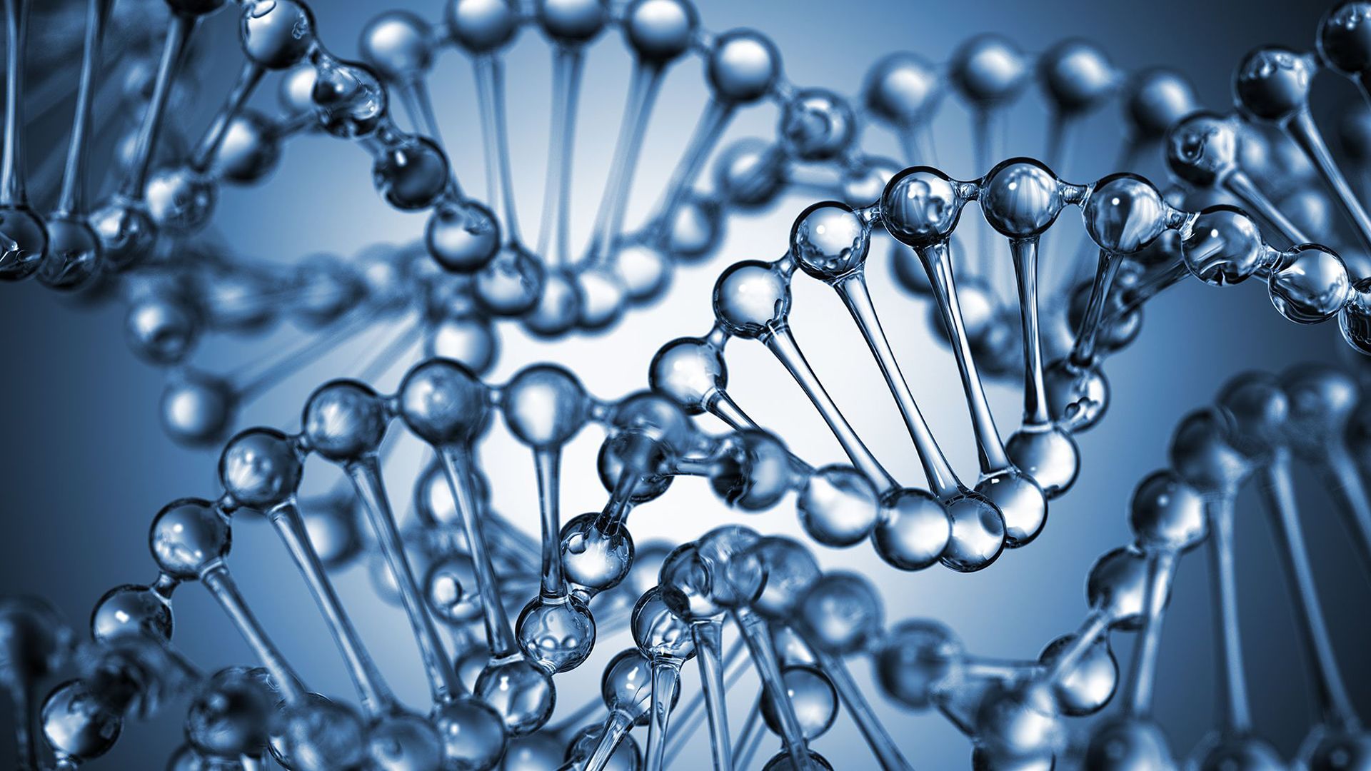 An illustration of strands of DNA helix in closeup