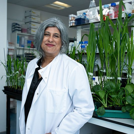 Shireen Davies, CEO and co-founder of SOLASTA Bio