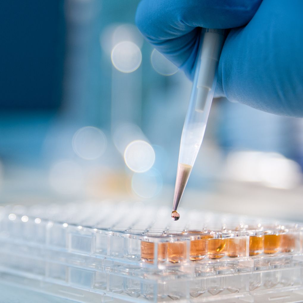 A close up of a scientist pipetting orange liquid into a microtiter plate