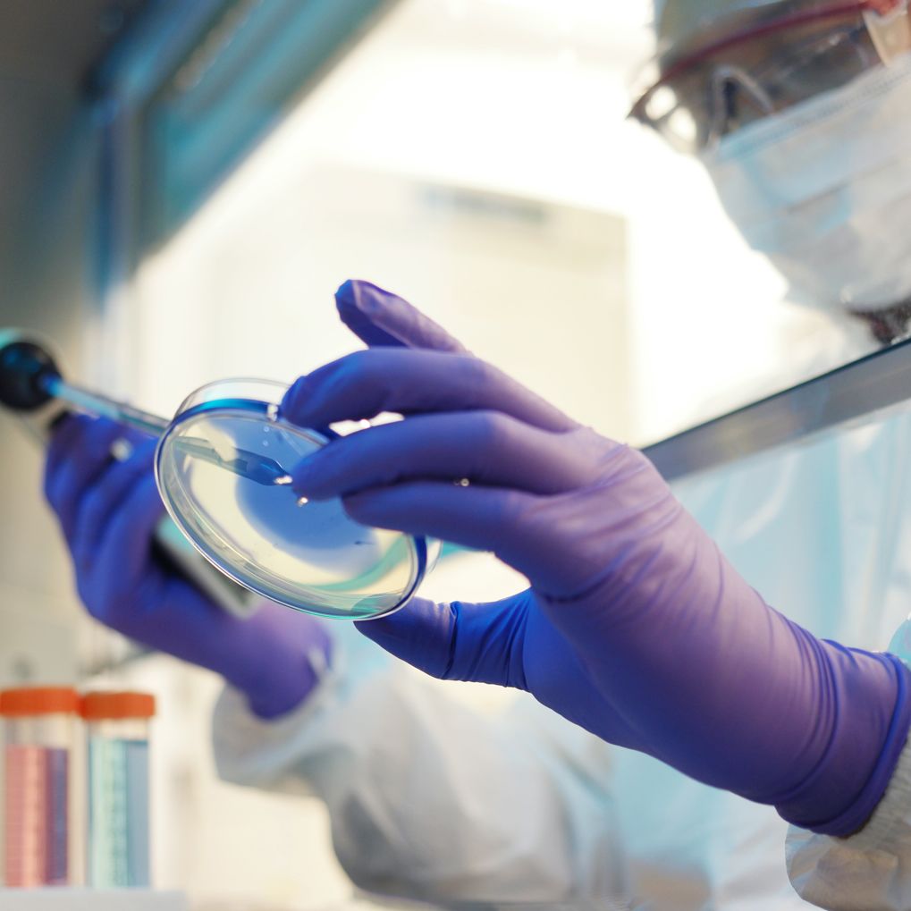 A scientist pipetting in a cleanroom 