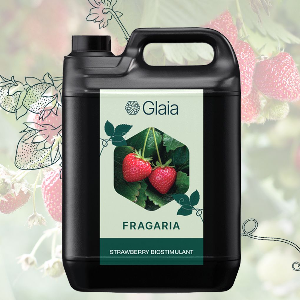 An image of the OGI Bio product Fragaria 