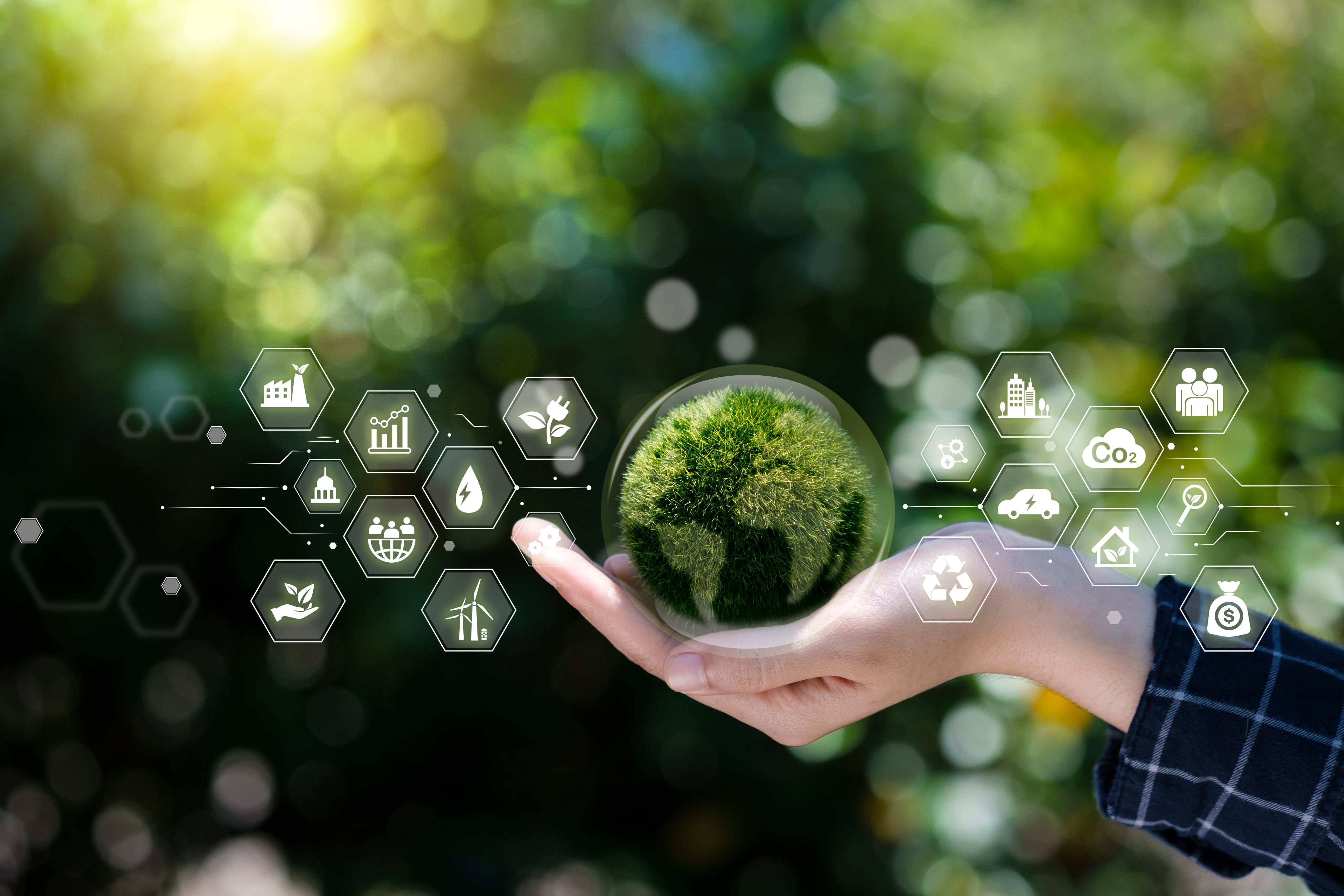 An image of a hand holding the Earth in its palm. The Earth is covered with trees, lighter coloured trees on the continents and darker on the oceans