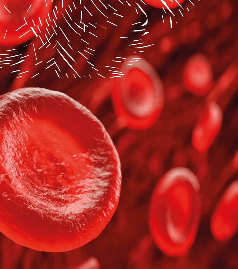Abstract image showing red blood cells