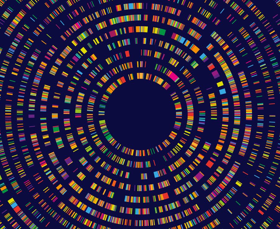 A series of colourful rectangles arranged in circles to represent genomic sequencing