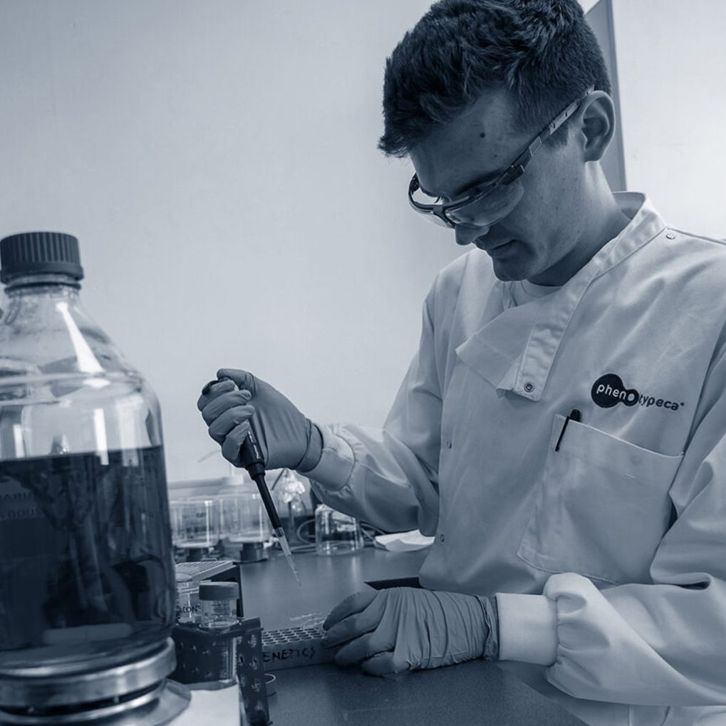 A Phenotypeca scientist working in a laboratory, using a pipette