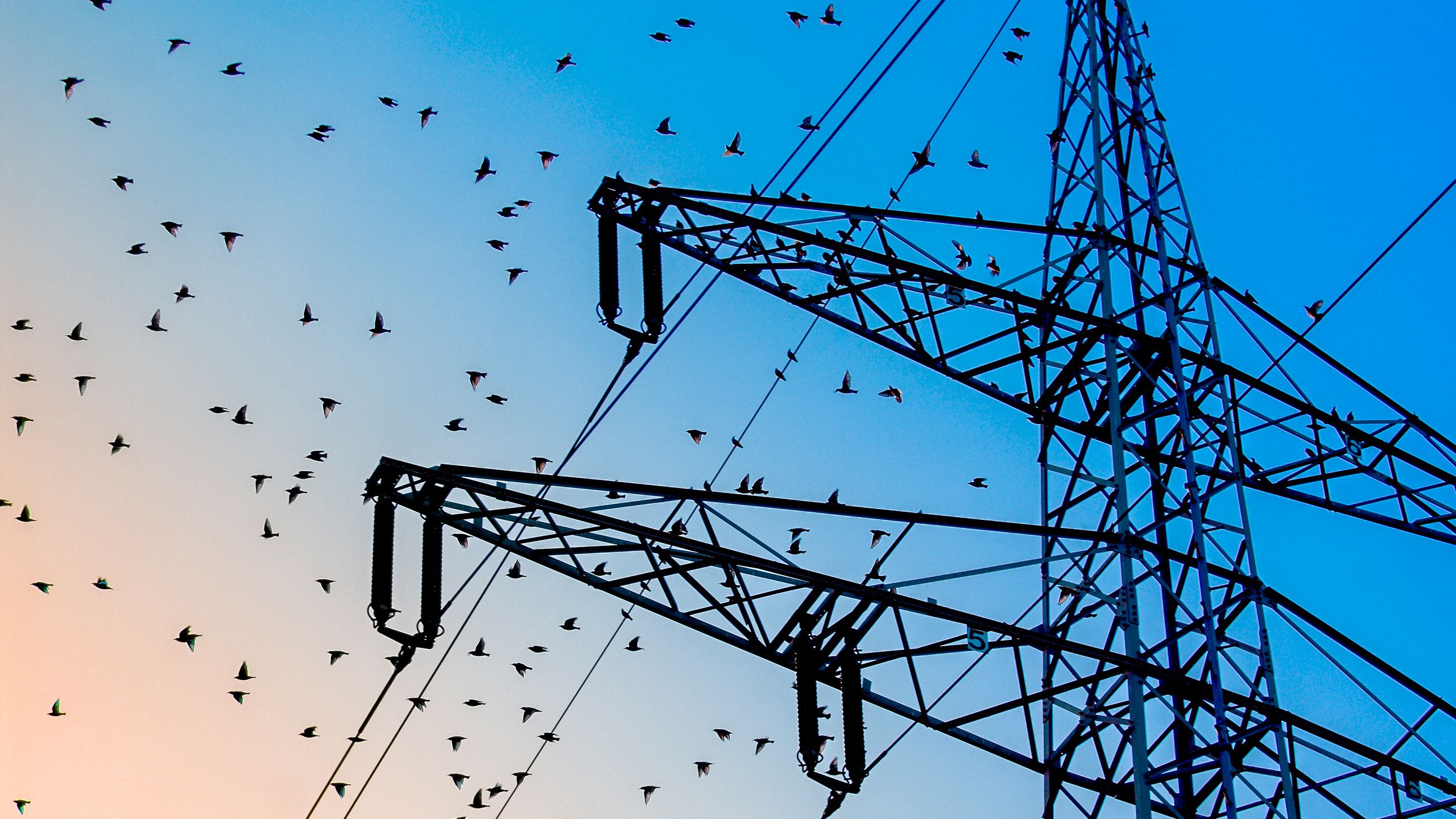 Electricity power cables 