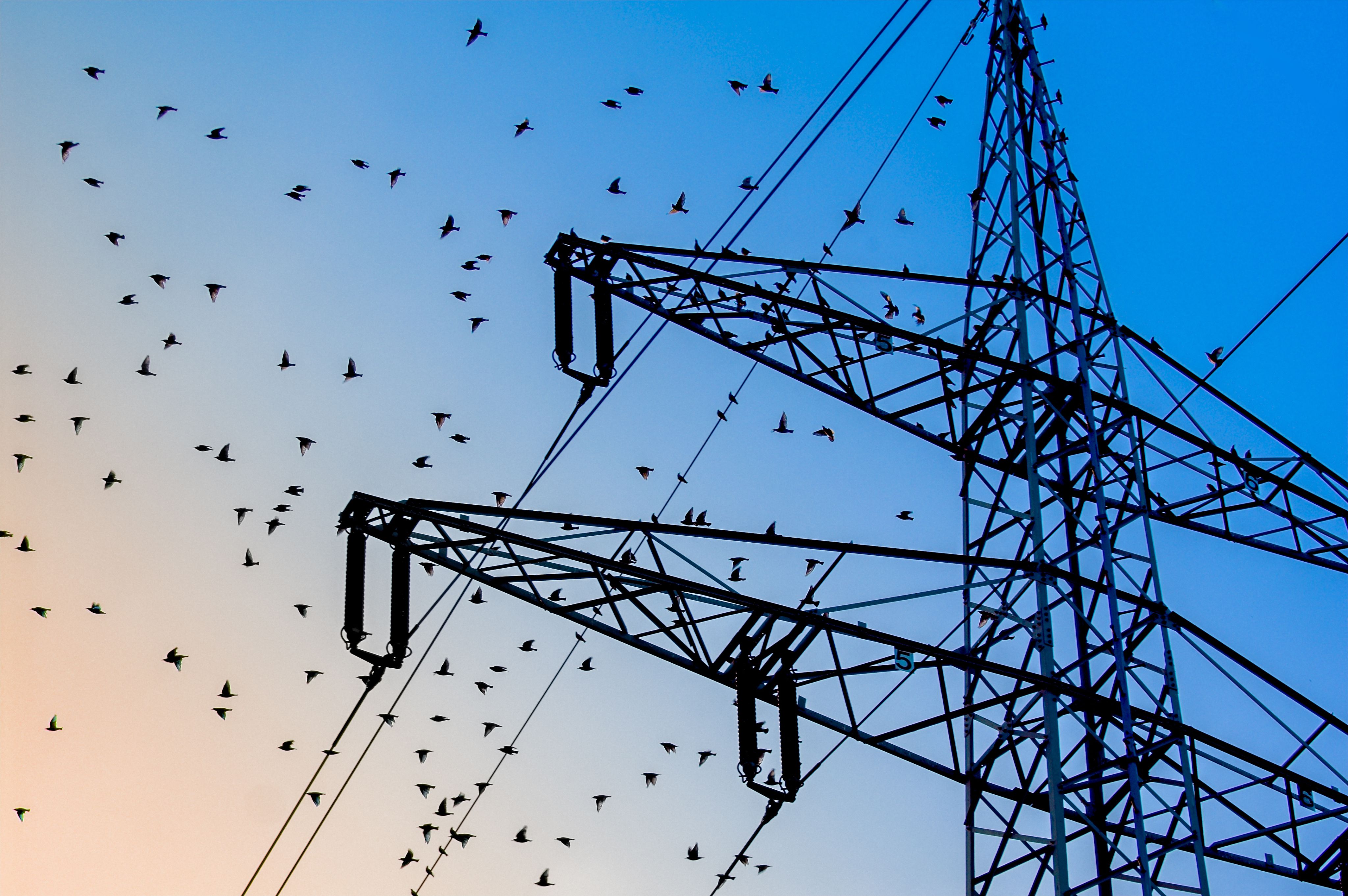 Electricity power cables 