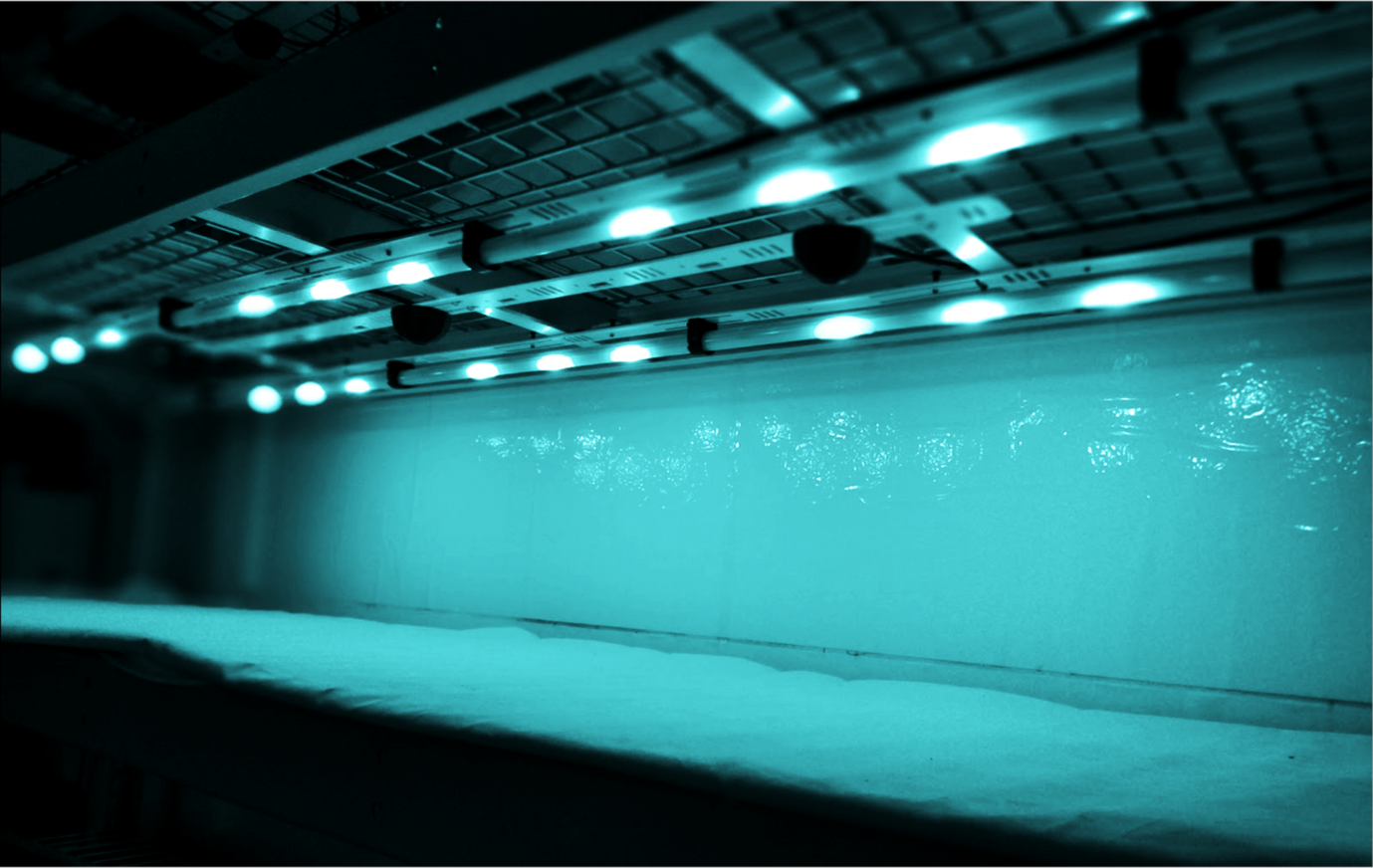 Fotenix’s INDIA Integrated Crop Monitor system for real-time stress tracking, yield monitoring and yield prediction