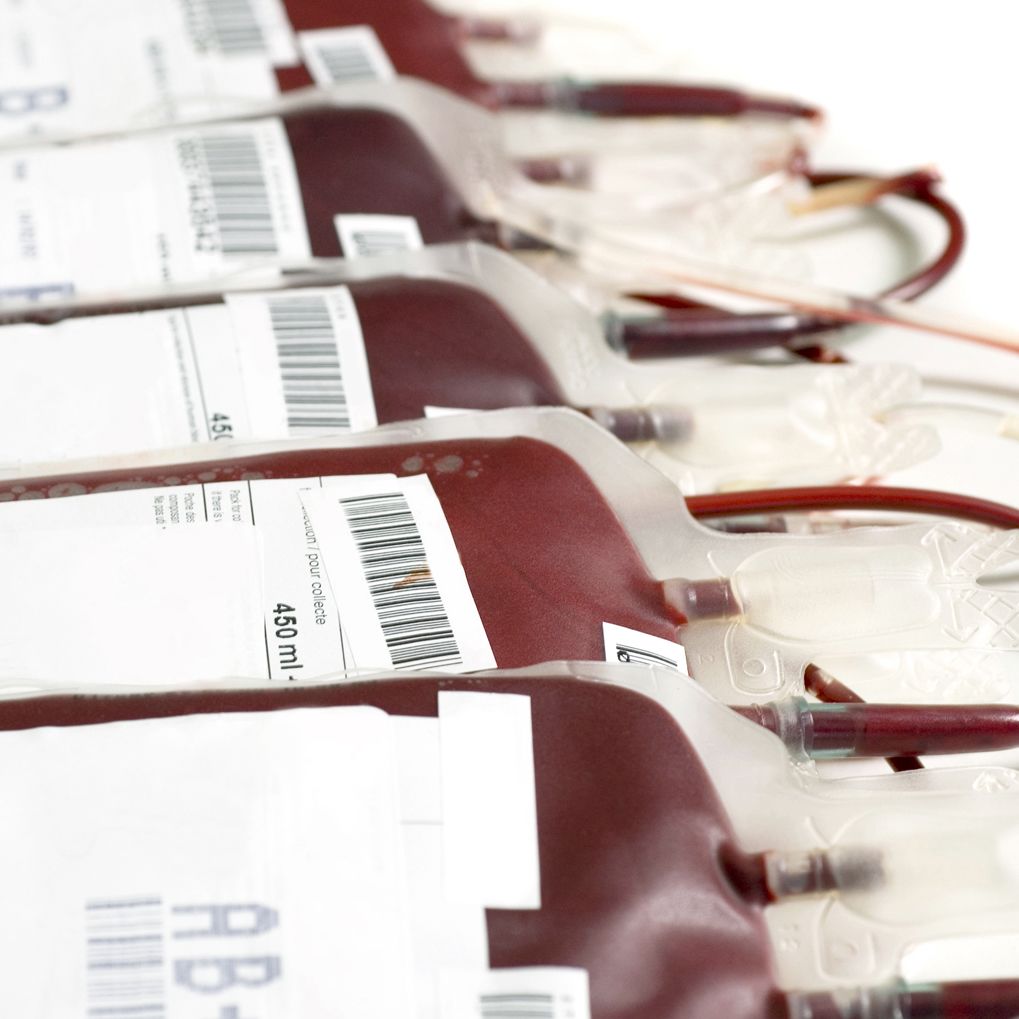Human blood stored in transfusions bags