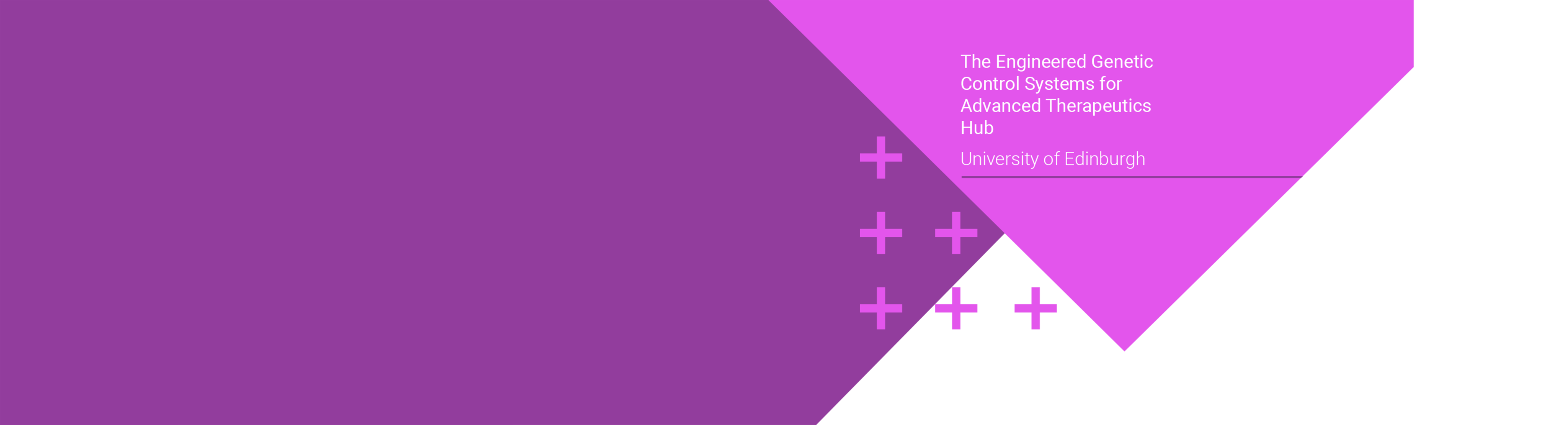 The Engineered Genetic Control Systems for Advanced Therapeutics Hub – University of Edinburgh