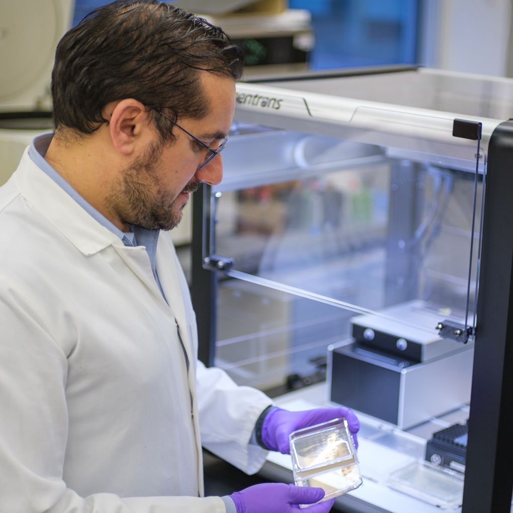 ZYTHERA co-founder Professor Giovanni Stracquadanio in a laboratory looking at a culture plate